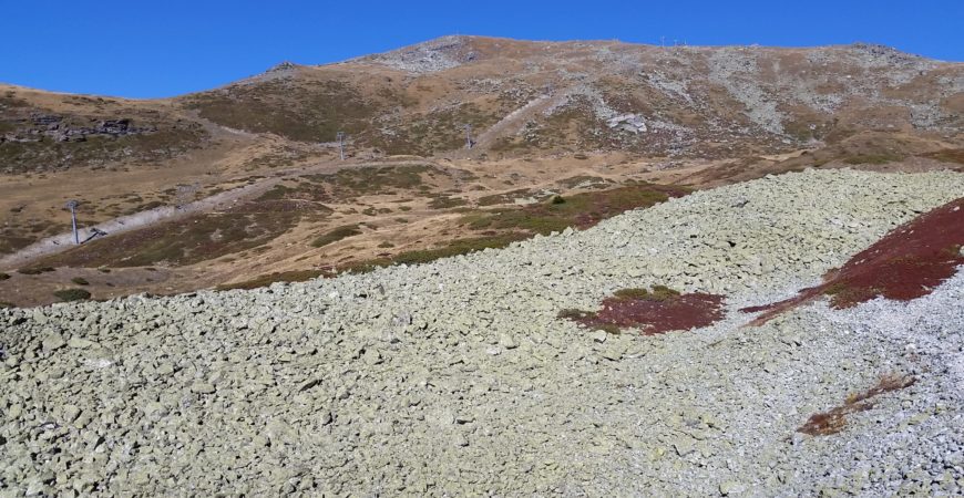 Restauration et hébergement