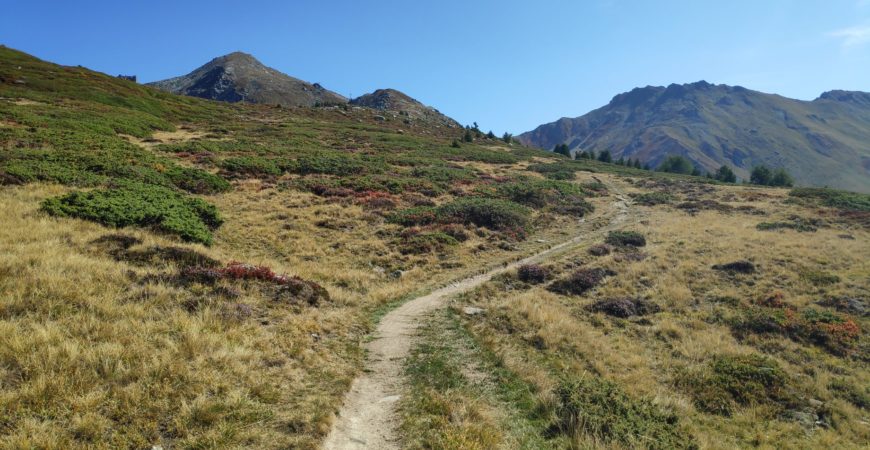 Restauration et hébergement